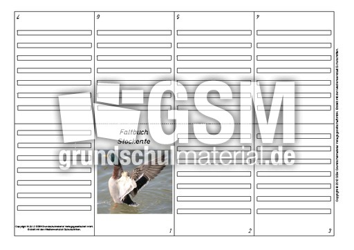 Faltbuch-Stockente-1.pdf